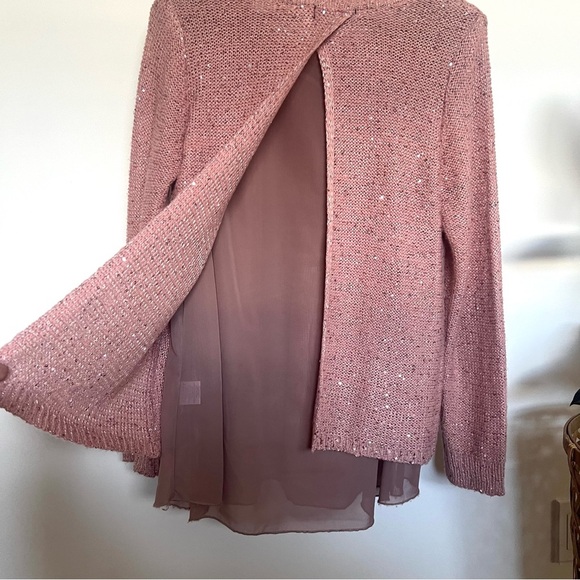 Papillon Knit Sweater with Sheer Layer - Picture 4 of 8